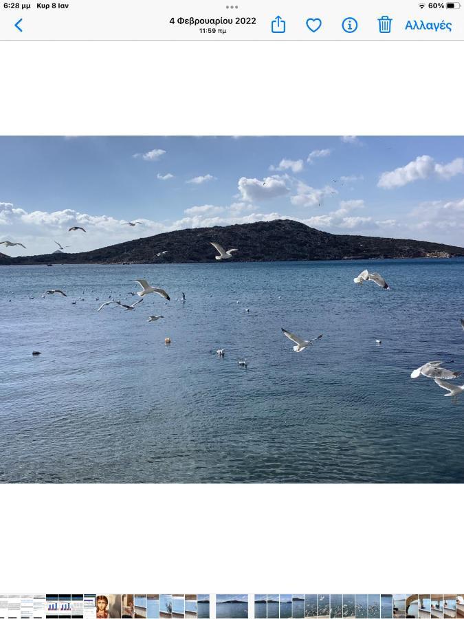 Akrogialli Διαμέρισμα *
